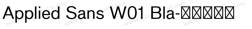 Applied Sans W01 Bla字体转换